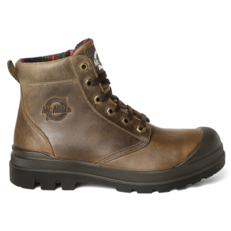 Mr. Miles Tasman 32403 S3